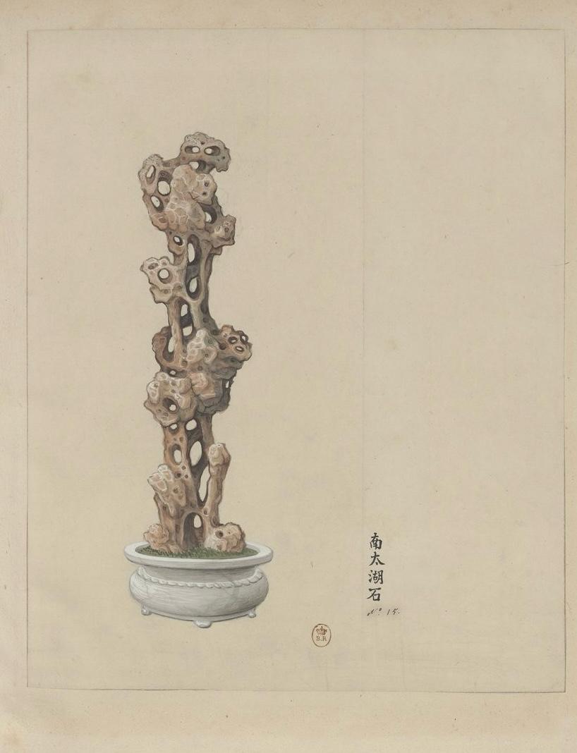 WhatsApp Image 2025-09-19 at 2.21.21 AM